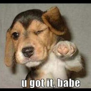 Meet your Posher, Damir